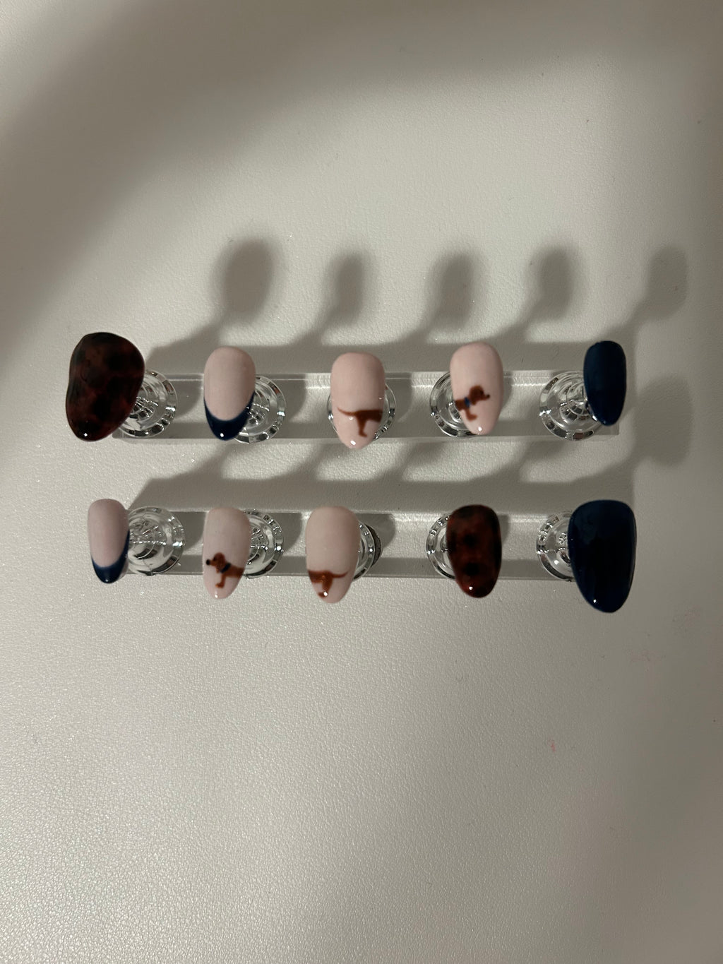 Daschund Tortoiseshell - Short Almond