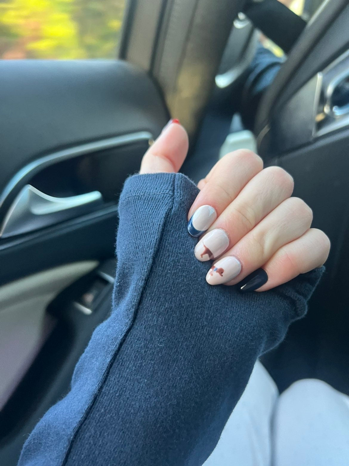 Daschund Tortoiseshell - Short Almond