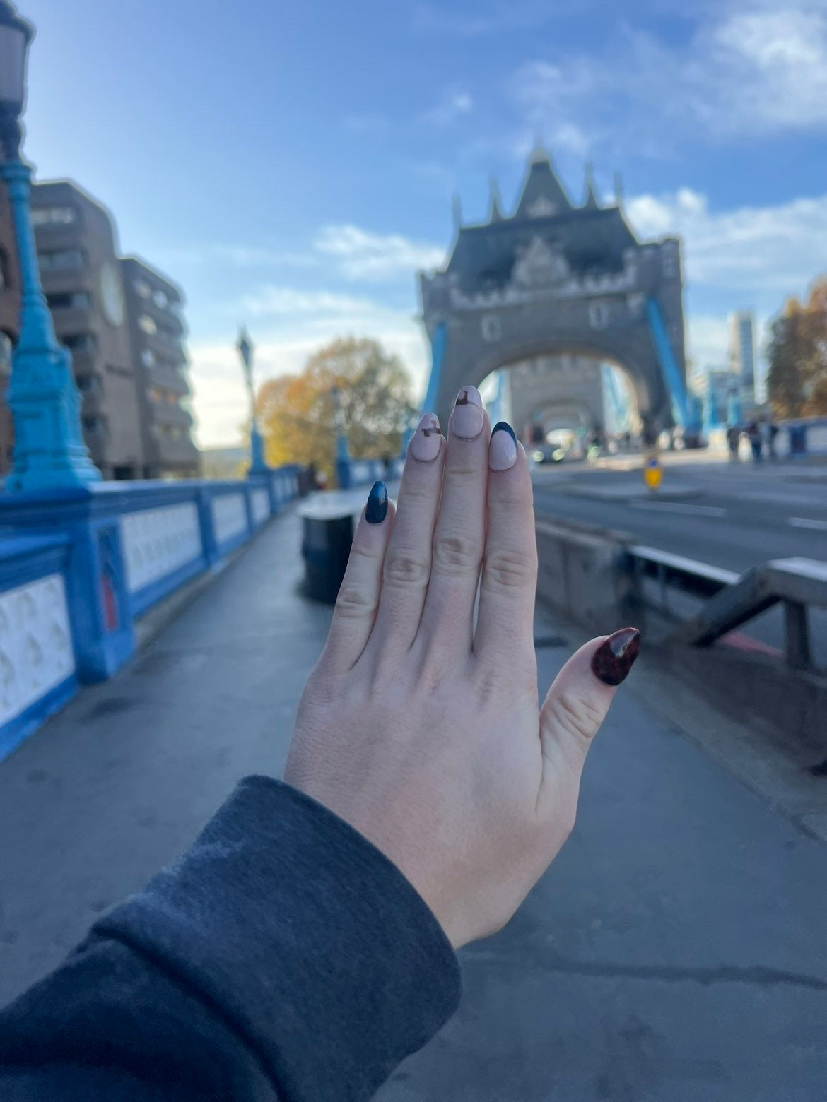 Daschund Tortoiseshell - Short Almond