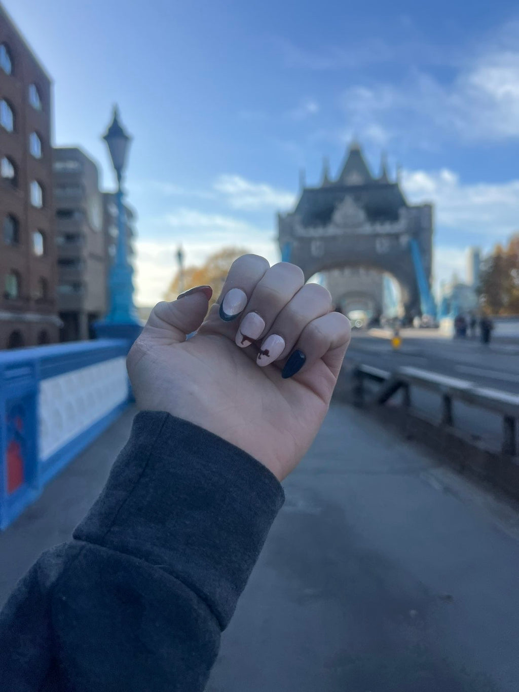 Daschund Tortoiseshell - Short Almond